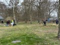 IMG_3784.jpg